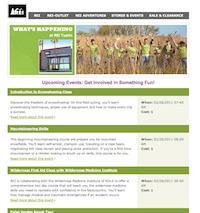 REI Web example